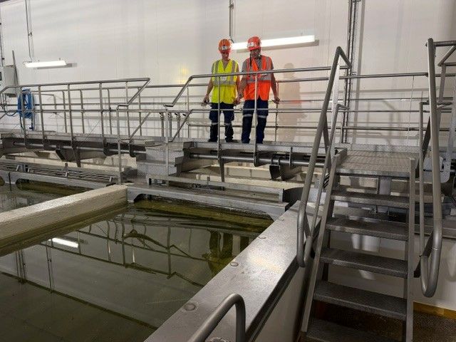 rénovation de la salle de production de saumure chez Entremont Alliance à Loudéac