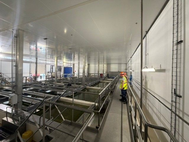 rénovation de la salle de production de saumure chez Entremont Alliance à Loudéac